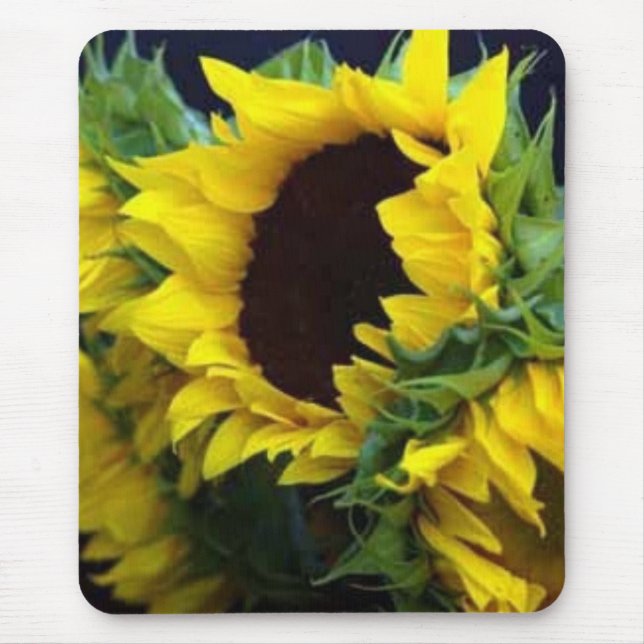 Mousepad Estudo de Sunfllower pelo debbieophotography (Frente)
