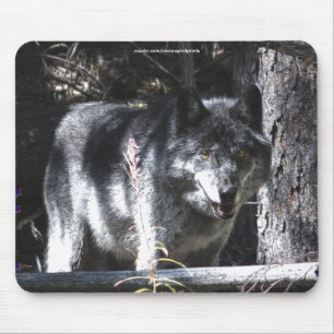 Mousepad Estudo do Wolf da cinza