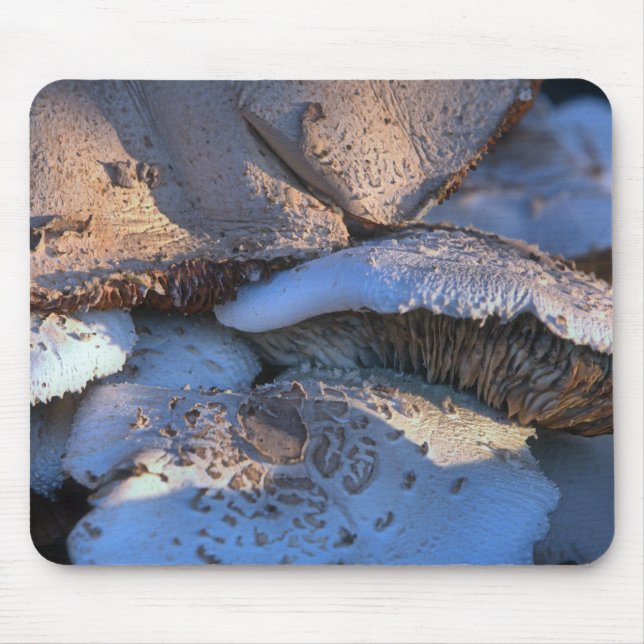 Mousepad Eterno Magnolia (Frente)