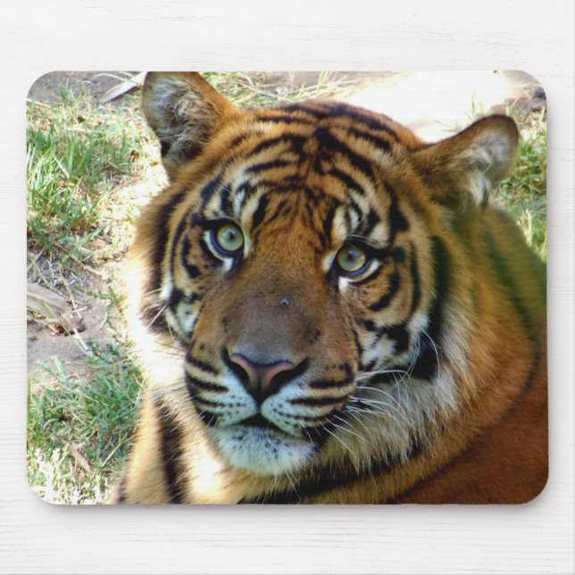 Mousepad Eu acredito_ Mousepad_por Elenne Boothe (Frente)