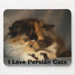 Mousepad Eu amo gatos persas
