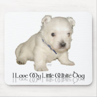 Eu Amo Meu Cachorrinho Branco - Filhote Westie