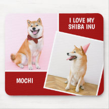 Eu Amo Minha Foto Shiba Inu Duas