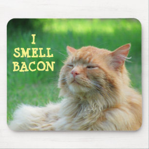 Mousepad Eu cheiro o gato alaranjado grande do bacon