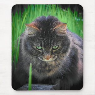 Mousepad Eu deio essa lâmina de grama