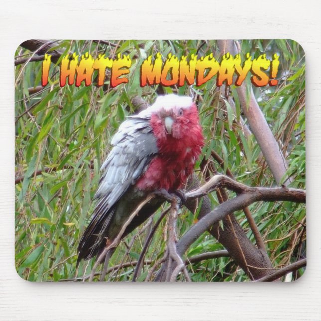 Mousepad Eu deio segundas-feiras (Frente)