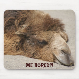 Mousepad Eu furou?!
