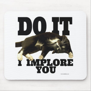 Mousepad Eu Imploro A Sua Foto De Gato Motivacional Dizendo