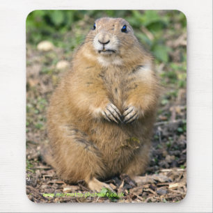 Mousepad Eu não sou gordo, mim sou Mousemat peluches