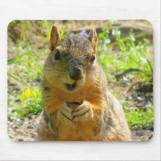 Mousepad Eu sorrio para sementes & vendas