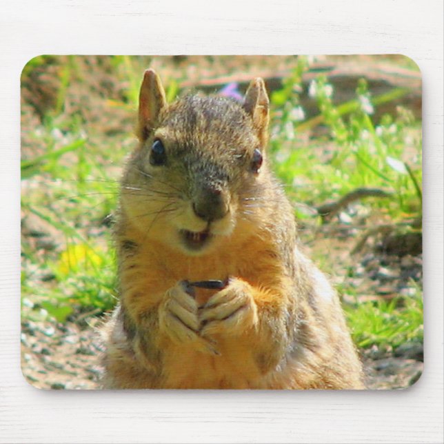 Mousepad Eu sorrio para sementes & vendas (Frente)