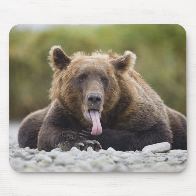 Mousepad EUA, Alasca, Parque Nacional de Katmai, Baía de Ku (Frente)