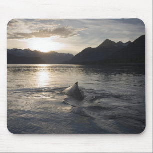 Mousepad EUA, Alasca, Parque Nacional Glacier Bay,