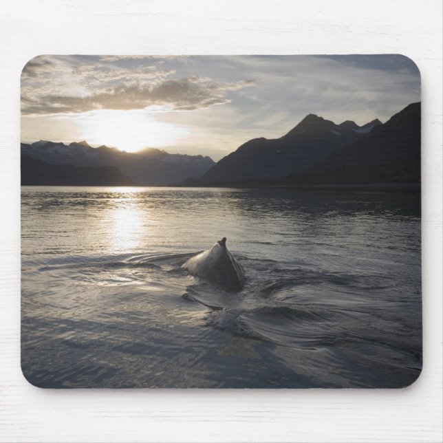 Mousepad EUA, Alasca, Parque Nacional Glacier Bay, (Frente)