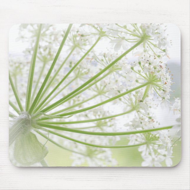 Mousepad EUA, Alasca, Parque Nacional Glacier Bay 3 (Frente)