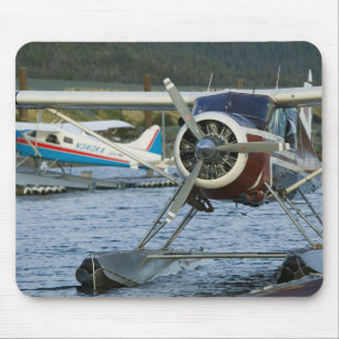 Mousepad EUA, ALASKA, sudeste do Alasca, KETCHIKAN: