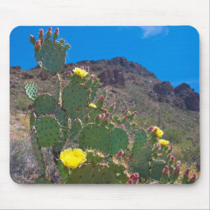 Mousepad EUA, Arizona. Cacto Nas Colinas
