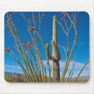 Mousepad EUA, Arizona. Cacto no Parque Nacional Saguaro
