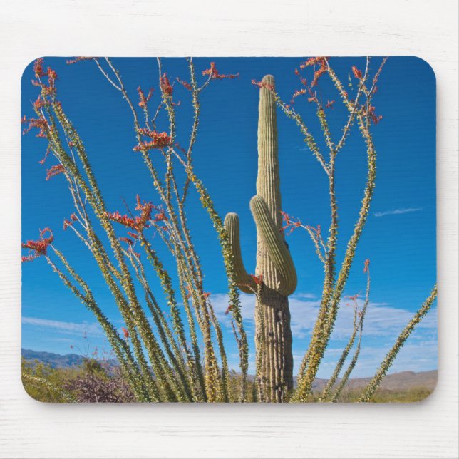 Mousepad EUA, Arizona. Cacto no Parque Nacional Saguaro (Frente)