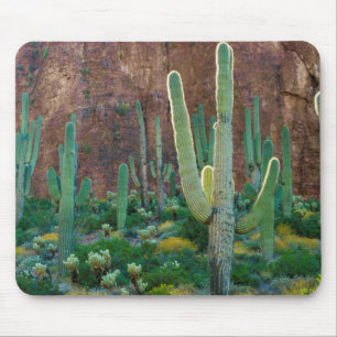 Mousepad EUA, Arizona. Campo de Cactus Saguaro por um penha