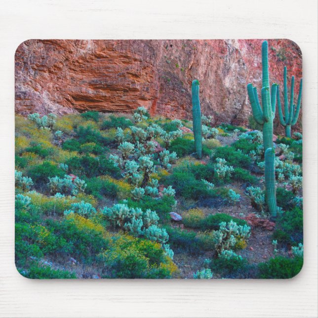 Mousepad EUA, Arizona. Flora do Deserto (Frente)