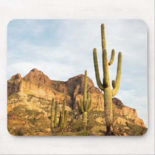 Mousepad EUA, Arizona, Tonto National Forest, Picketpost 2