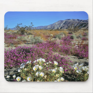Mousepad EUA, Califórnia, Anza-Borrego DSP. Duna ao anoitec