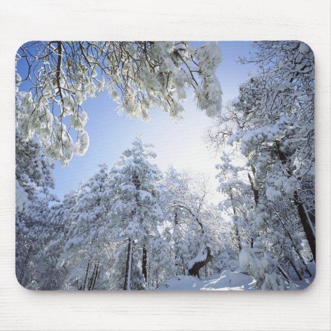 Mousepad EUA, Califórnia, Cleveland National Forest, (Frente)