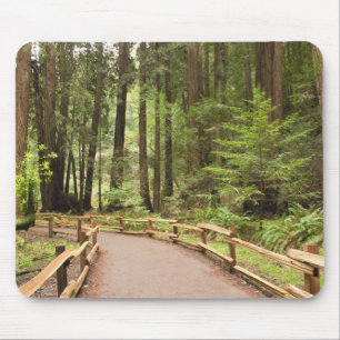 Mousepad EUA, Califórnia, Condado de Marin, Muir Woods
