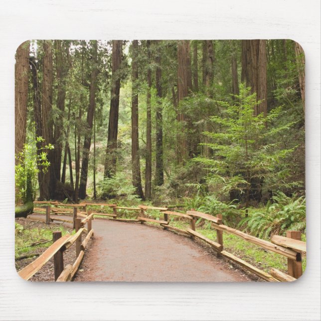 Mousepad EUA, Califórnia, Condado de Marin, Muir Woods (Frente)