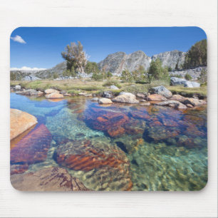 Mousepad EUA, Califórnia, Floresta Nacional Inyo 4