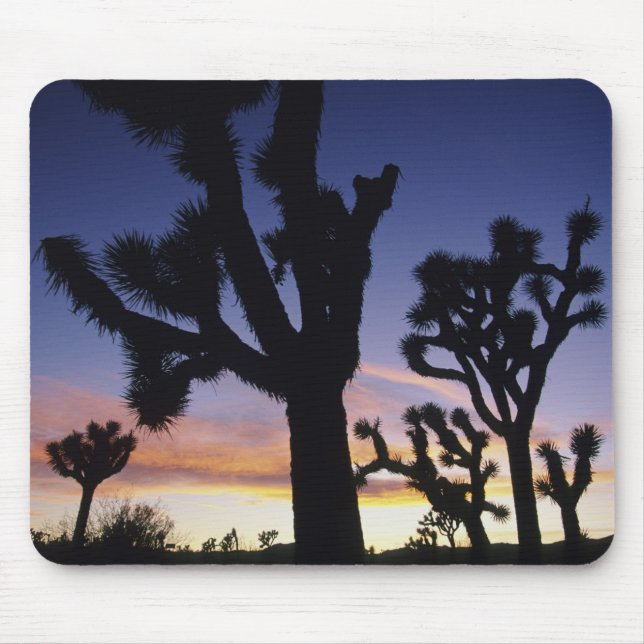 Mousepad EUA, Califórnia, Parque Nacional Joshua Tree, (Frente)