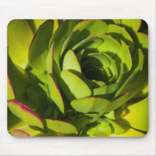 Mousepad EUA, Califórnia. Planta de Lobelia Gigante Close U