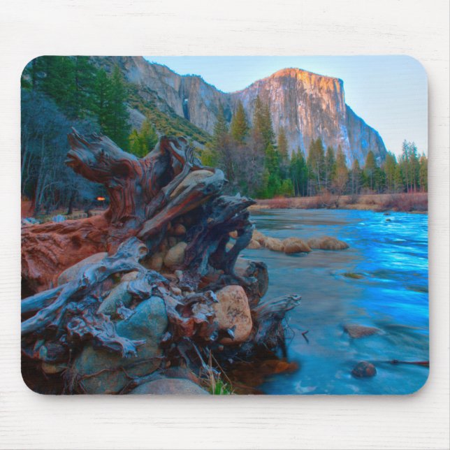 Mousepad EUA, Califórnia. Raízes de Árvore no Rio Merced (Frente)
