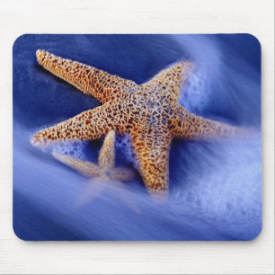 Mousepad EUA, Carolina do Sul, Ilha de Hilton Head. Dois