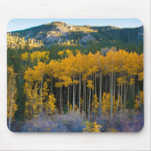 Mousepad EUA, Colorado. Álamos Amarelos Brilhantes nas Mont