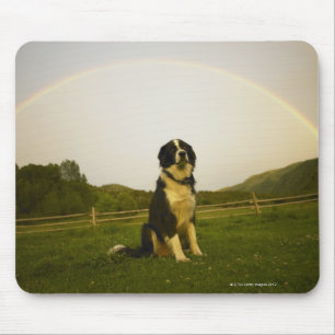 Mousepad EUA, Colorado, castelo novo