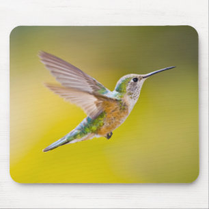 Mousepad EUA, Colorado, Condado de Summit, Heeney. Vista la
