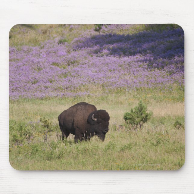 Mousepad EUA, Dakota do Sul, bison americano (Bison bison) (Frente)