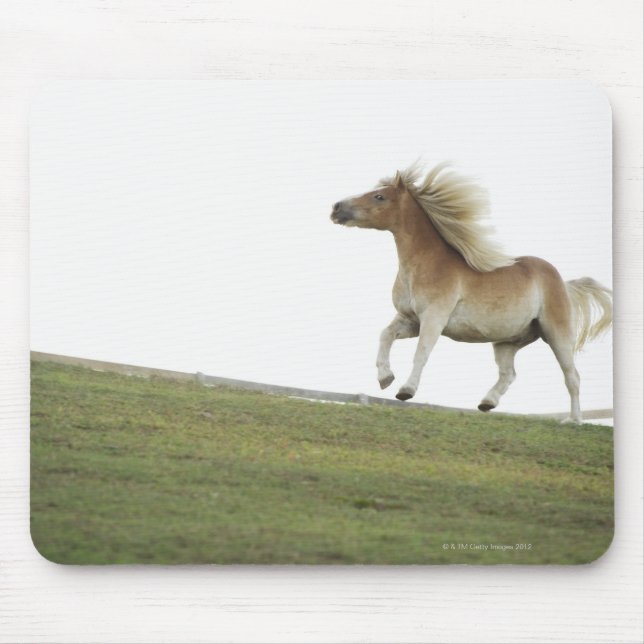 Mousepad EUA, Estado de Nova York, Hudson, Cavalo correndo  (Frente)