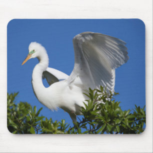 Mousepad EUA, Flórida, St. Augustine, Garça