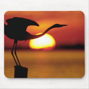 Mousepad EUA, Flórida, St. Petersburg, Fort De Soto