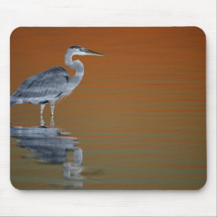 Mousepad EUA, Flórida, St. Petersburg, Fort De Soto 2