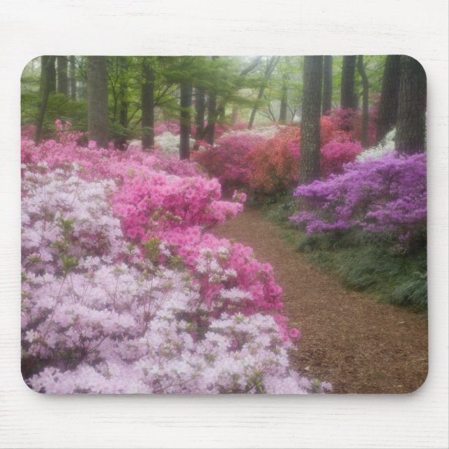 Mousepad EUA; Geórgia; Pine Mountain. Azaléias em 2 (Frente)