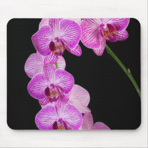 Mousepad EUA, Geórgia, Savannah, Conjunto De Orquídeas 2