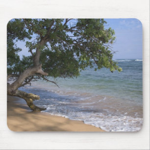 Mousepad EUA, Havaí, Kauai, praia cênica. RF)