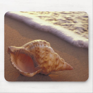 Mousepad EUA, Havaí, Maui, Kihei, Luz da noite em