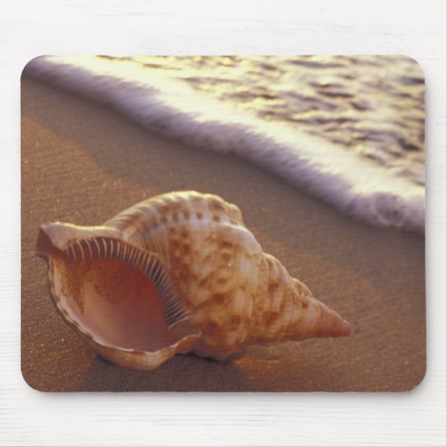 Mousepad EUA, Havaí, Maui, Kihei, Luz da noite em (Frente)