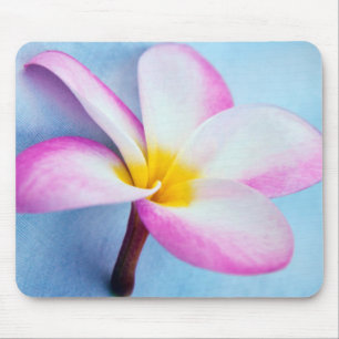 Mousepad EUA, Havaí, Oahu, Flores de Plumeria em flor 2