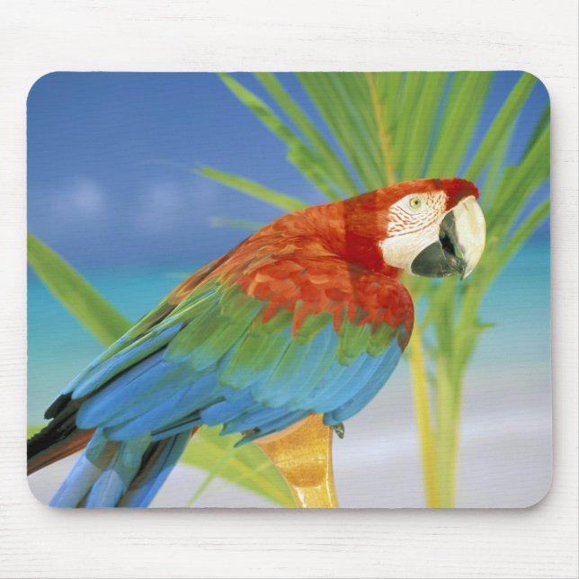 Mousepad EUA, Havaí. Papagaio (Frente)